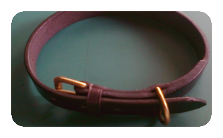 Traditional Plain Leather Dog Collar